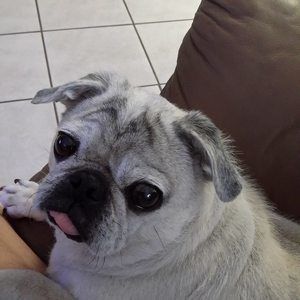 Meet your Posher, Lynn